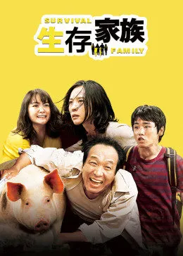 云巅之上